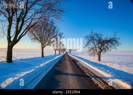 Empty road through snow-covered field after a blizzard at sunrise. Clear sky, golden light. Idyllic rural scene. Stock Photo