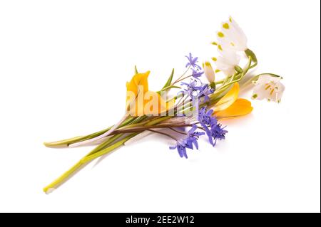 Flowers bunch isolated on white background Stock Photo