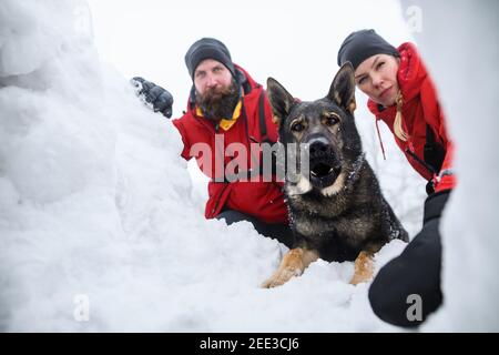 Mountain rescue service with dog on operation outdoors in winter in forest. Stock Photo