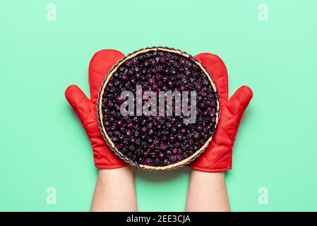 Homemade blueberry pie, freshly baked, held in hands with oven mitts, isolated on green colored background. Flat lay with blueberries pie. Fruit cake. Stock Photo