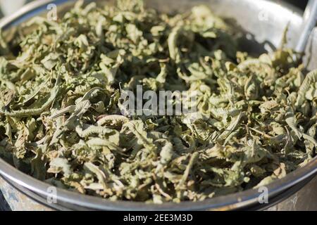 Close up of dried Beebrushes (Aloysia) leaves, presented for sale in the market Stock Photo