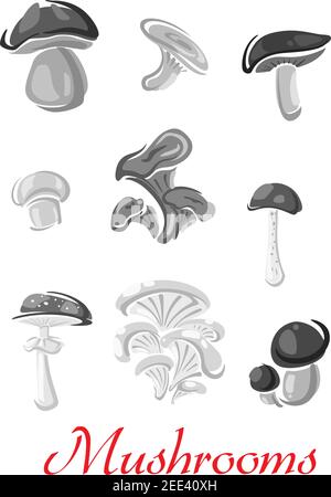 Edible mushrooms icons of chanterelle, woolly milkcap and champignon, forest porcini and cep, russule blewit or milk mushroom. Vector isolated set of Stock Vector