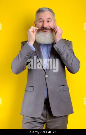 Studio portrait funny bearded man in gray business suit looking to camera, work profession lifestyle, yellow background. Stock Photo