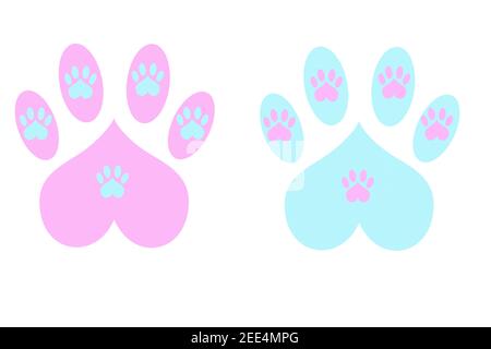 Pink and blue paws on a white background Stock Photo