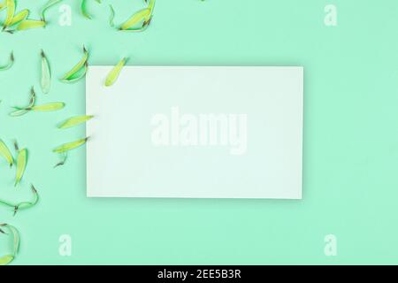 Greeting card design with floral and natural theme, yellow petals and pastel background, mockup with blank paper photo Stock Photo