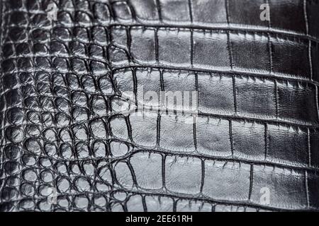 texture of black crocodile skin dark background artificial animal leather close-up, nobody. Stock Photo