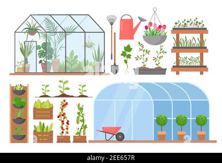 Greenhouse flower plant vegetable cultivation set, cartoon glasshouses for planting Stock Vector