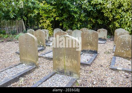 Pet cemetery with carved headstones for dogs at Polesden Lacey, Great Bookham, Surrey, south-east England