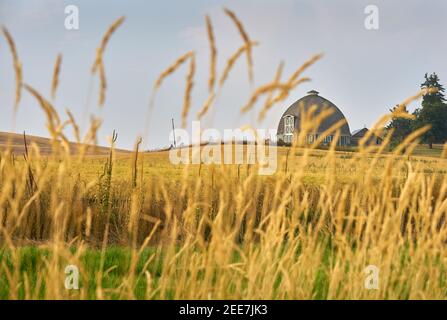 Rustic Round Barn in the Palouse. A round barn in Washington State, USA. Stock Photo