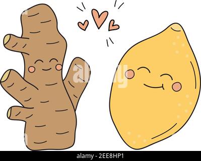 Ginger and lemon vector hand drawn illustration. Cute ginger root with lemon citrus fruit, lovely combination. Winter, cold, immunity tea ingredients. Stock Vector