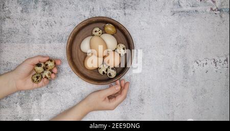 the girl hands folding chicken and quail eggs in a clay plate. selective focus  Stock Photo