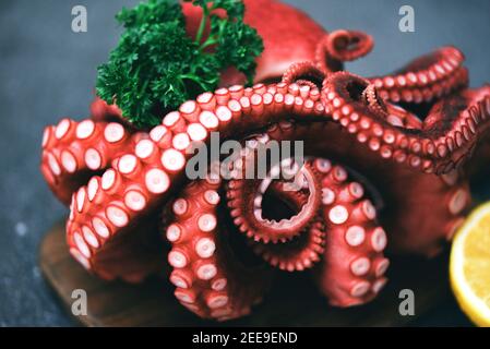 Octopus food cooked salad seafood squid cuttlefish dinner restaurant, Boiled octopus tentacles with lemon on plate background Stock Photo