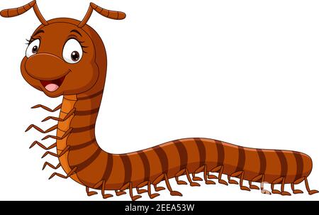 Cartoon funny millipede on white background Stock Vector