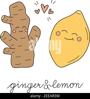 Ginger and lemon vector hand drawn illustration Stock Vector