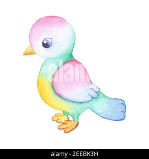 Cute colorful bird character on white background. Standing birdie watercolor illustration. Handdrawn bird with pastel pink feather. Sweet cheeky chick Stock Photo