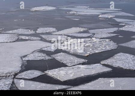 Ice floes float on the water Stock Photo