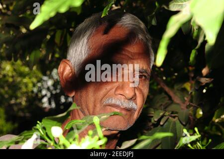 closeup portrait of An Indian elderly man or farmer stands in the garden and leaves a shadow on the farmer's face. india-Asia Stock Photo