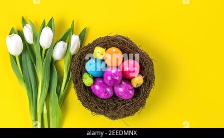 Easter colored eggs in nest and white tulips. Holiday concept. Stock Photo