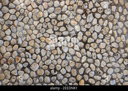 Abstract photo texture of pebble paving, top view background. White pebbles in grey sand top view. Rounded marble paving. Natural backdrop of marine s Stock Photo