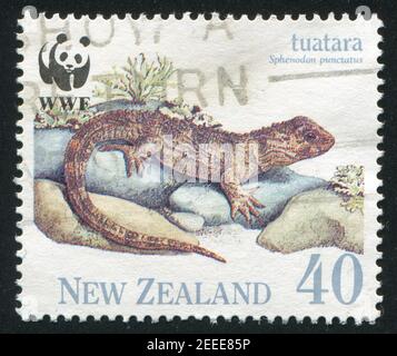 NEW ZEALAND - CIRCA 1991: stamp printed by New Zealand, shows Tuatara, juvenile, circa 1991 Stock Photo