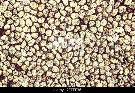 Yellow stone abstract background. Pebbled surface warm toned photo. Stone mosaic creative backdrop. White pebble surface top view. Marine stone patter Stock Photo