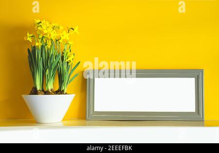 Blooming yellow daffodils in a white ceramic pot and a gray photoframe on a white shelf on a yellow background with copy space Stock Photo