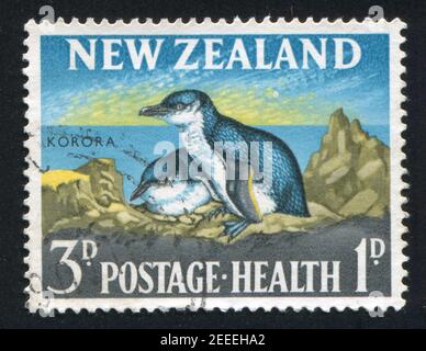 NEW ZEALAND — CIRCA 1963: stamp printed by New Zealand, shows  penguin korora, circa 1963 Stock Photo