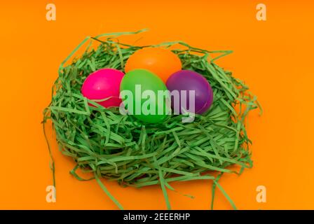 Four Colorful Easter Eggs Sitting in Green nest or Grass.Studio image. Stock Photo