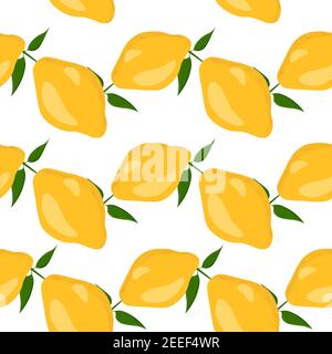 Citrus summer illustration with lemons and leaves. Tropical seamlees pattern with colorful fruits on white background. Food concept. Template design Stock Vector