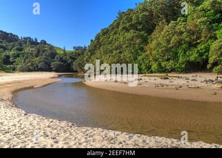 A creek flows out of the forest and down a beach to the ocean at Whiritoa on the Coromandel Peninsula, New Zealand Stock Photo