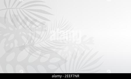 Graphic plant palm leaf tropic. Print black and white background style, exotic jungle. Stock Vector