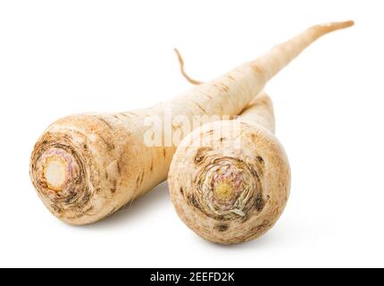 Parsley root close up isolated on a white background Stock Photo