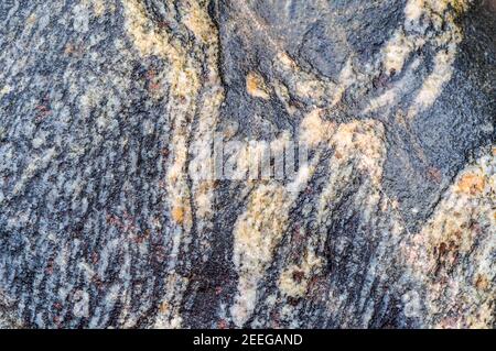 stripes and spots gray yellow background, panel texture, background fill Stock Photo