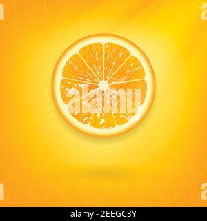 fresh orange on bright orange background Stock Vector