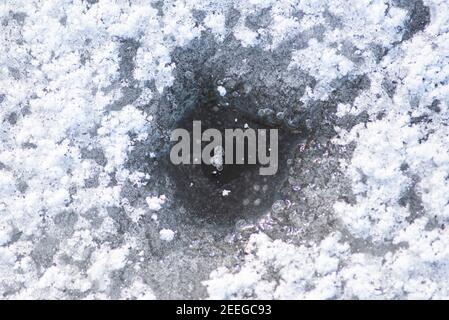 Frozen sheet of water, ice and air bubbles in the lake ice. Stock Photo