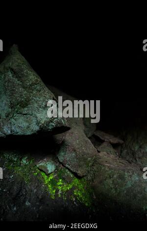 Goblin gold luminous moss glowing in a natural cave in Finland Stock Photo