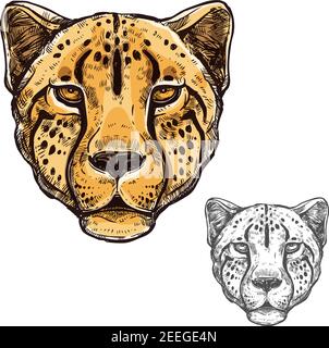 Cheetah African wild animal head or leopard muzzle sketch. Vector isolated icon of cougar cat for zoology, mascot blazon of sport team, wildlife natur Stock Vector