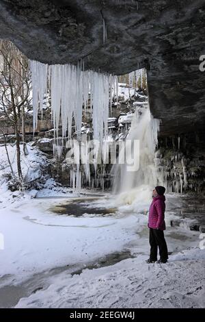 A Woman Looks out of Gibson’s Cave at Giant Icicles and a Partially Frozen Summerhill Force in Winter, Teesdale, County Durham, UK Stock Photo