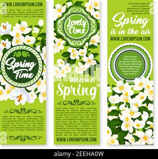 Spring Time vector banners set with greeting and holiday wishes. Spring is in Air quotes design of jasmine blossom or blooming crocuses flowers on gre Stock Vector