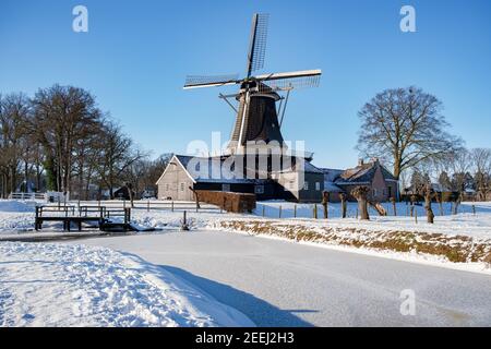 Pelmolen Ter Horst, Rijssen covered in snowy landscape in Overijssel Netherlands, historical wind mill during winter with white landscape. wooden old windmill in Holland Stock Photo