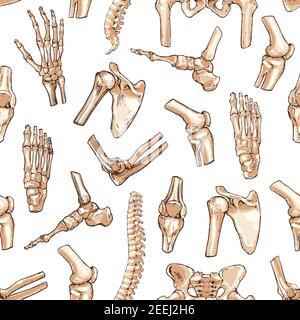 Human skeleton bone seamless pattern background. Medical pattern with bone and joint of hand, knee, hip, foot, spine, elbow, pelvis, shoulder, wrist, Stock Vector