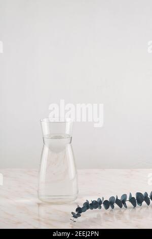 Modern water decanter with eucalyptus branches in minimalism style Stock Photo