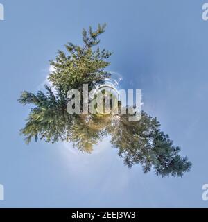 green tiny planet transformation of spherical panorama 360 degrees. Spherical abstract aerial view on forest. Curvature of space. Stock Photo