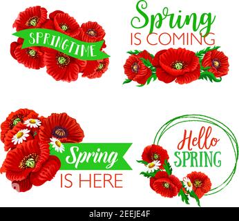 Spring time quotes and greetings on isolated floral bouquets. Vector springtime wishes on ribbons with flowers of blooming poppy blossoms and garden d Stock Vector