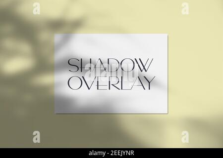 Vector illustration of a4 paper mockup with realistic tropical shadow overlay effect. Blurred transparent soft light shadow from tree leaves with Stock Vector