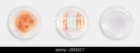 Dirty and clean realistic plates, process of cleaning dish from leftovers of food. Top view of unwashed and washed dishes, bowls before and after wash Stock Vector