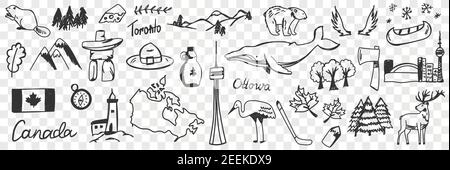 Canadian symbols and signs doodle set. Collection of hand drawn canadian traditional maple leaf flag wildlife mountains deers snow heron beer whale and names isolated on transparent background Stock Vector