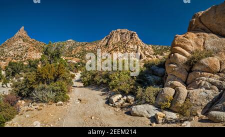 Hiking trail to Giant Ledge Mine, Caruthers Canyon, New York Mountains, Mojave National Preserve, California, USA Stock Photo