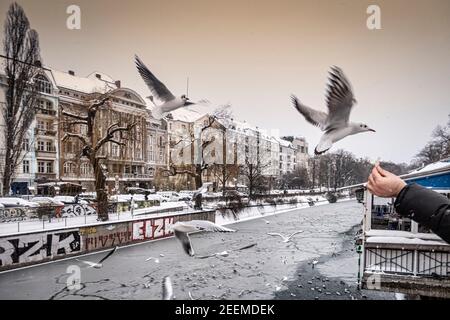Landwehrkanal im Winter, Wintereinbruch im Februar 2021, Fütterung von Vögeln, Berlin Stock Photo