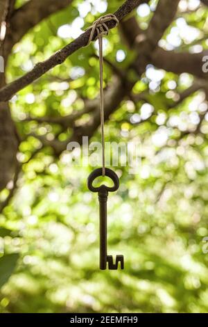 Key Hanging String Keys hanging from a branch of a tree in the countryside Stock Photo - Alamy